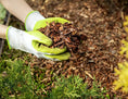 Mulch & Landscaping