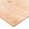1/2" X 4 X 8' SPRUCE PLYWOOD (12.5MM)